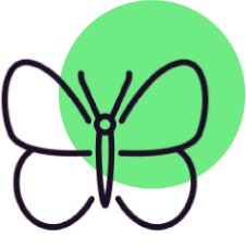 adaptive strategy icon organizational adaptability