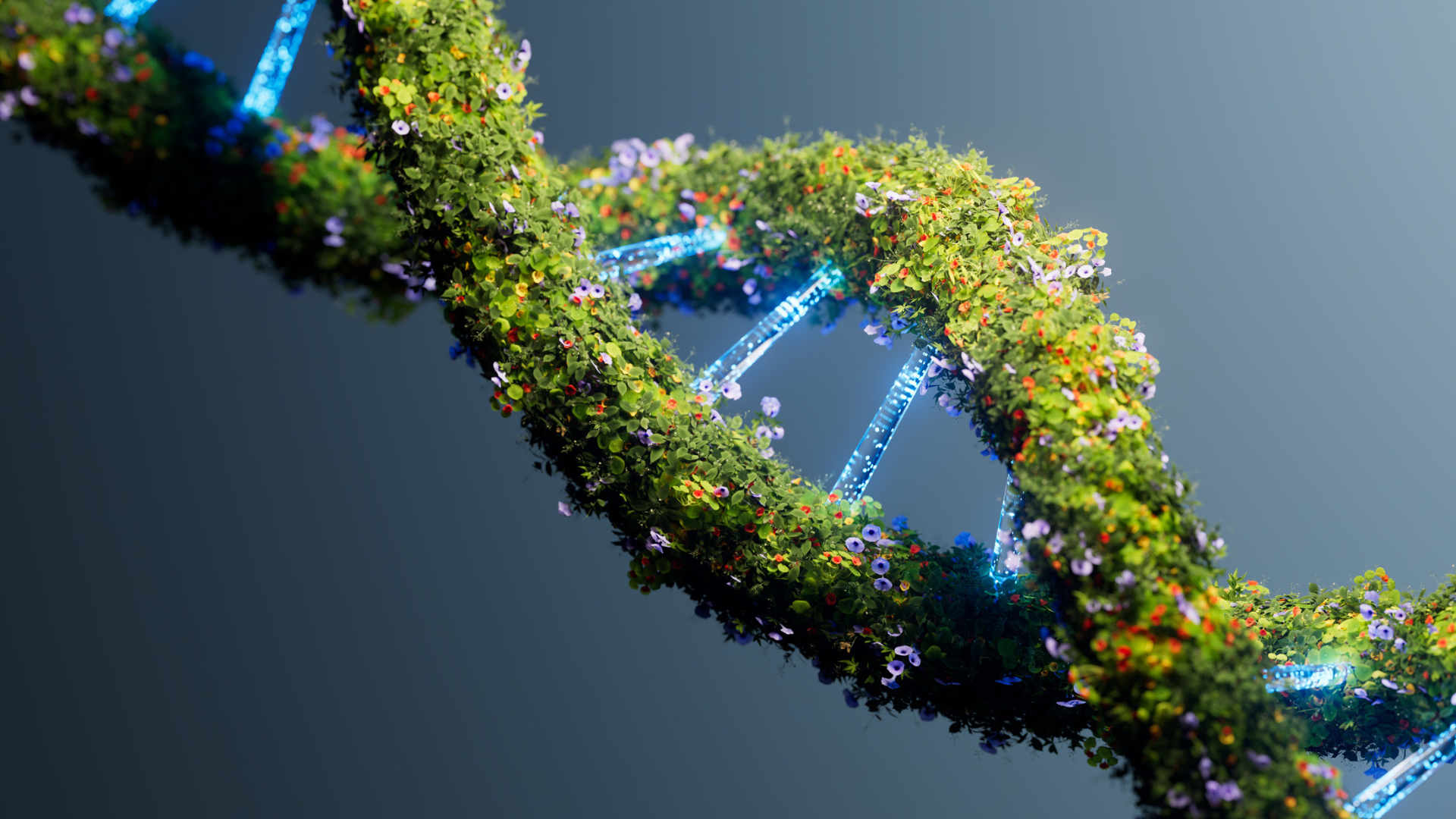 Building a strategy for digital transformation and sustainable growth